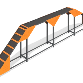 Dog walk ramp with ladder