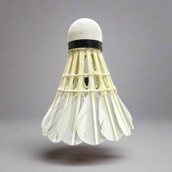 BADMINTON SHUTTLECOCKS